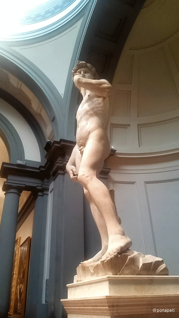 アカデミア美術館　ダビデ像下から